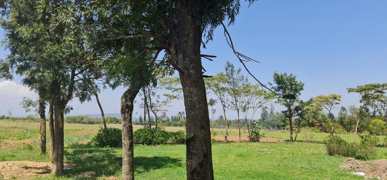Le Tai Village Resort Near Solio Game Reserve Mweiga Esterno foto